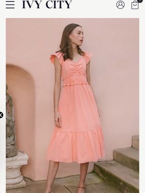 NWT Ivy City Co Gidget Dress in Orange Gingham Small